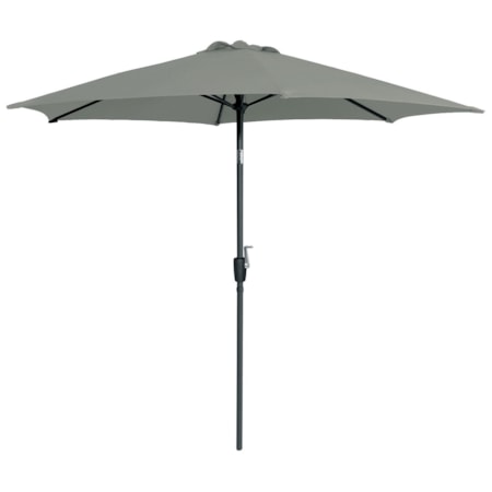 Market Umbrella