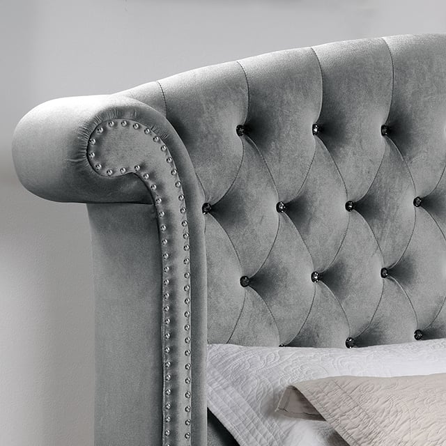 Furniture of America Zohar CM7130GYCKBED Glam Tufted Upholstered
