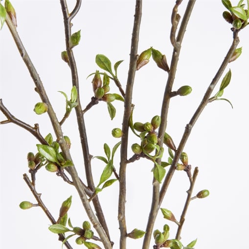 42" Set of 2 Budding Branches