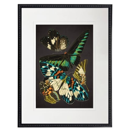 Vintage Bright Butterfly