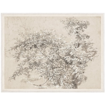 Graphite & Gouache Study