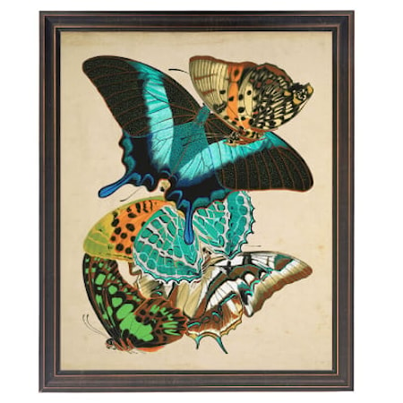 Vintage Bright Butterfly