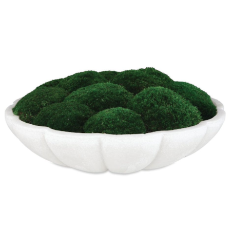 Awaken Moss Centerpiece