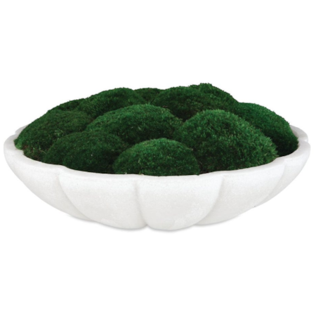Awaken Moss Centerpiece