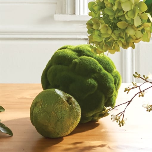 Napa Home & Garden Accessories Mood Moss Orb
