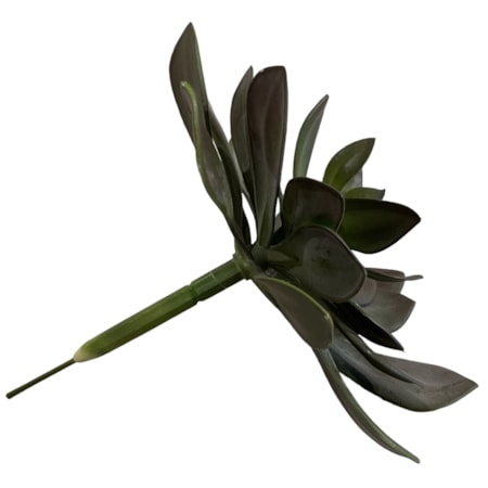 Extra Large Frosty Green/Brown