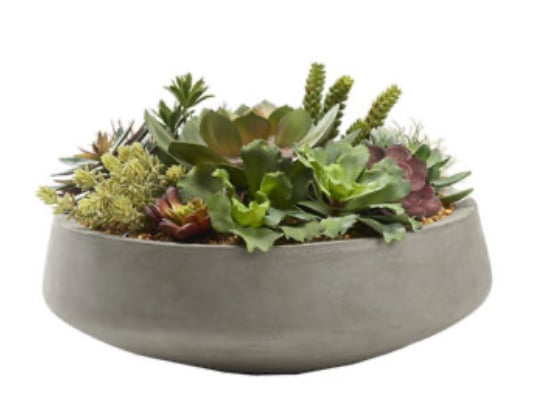 Mixed Succulents in XL Bowl