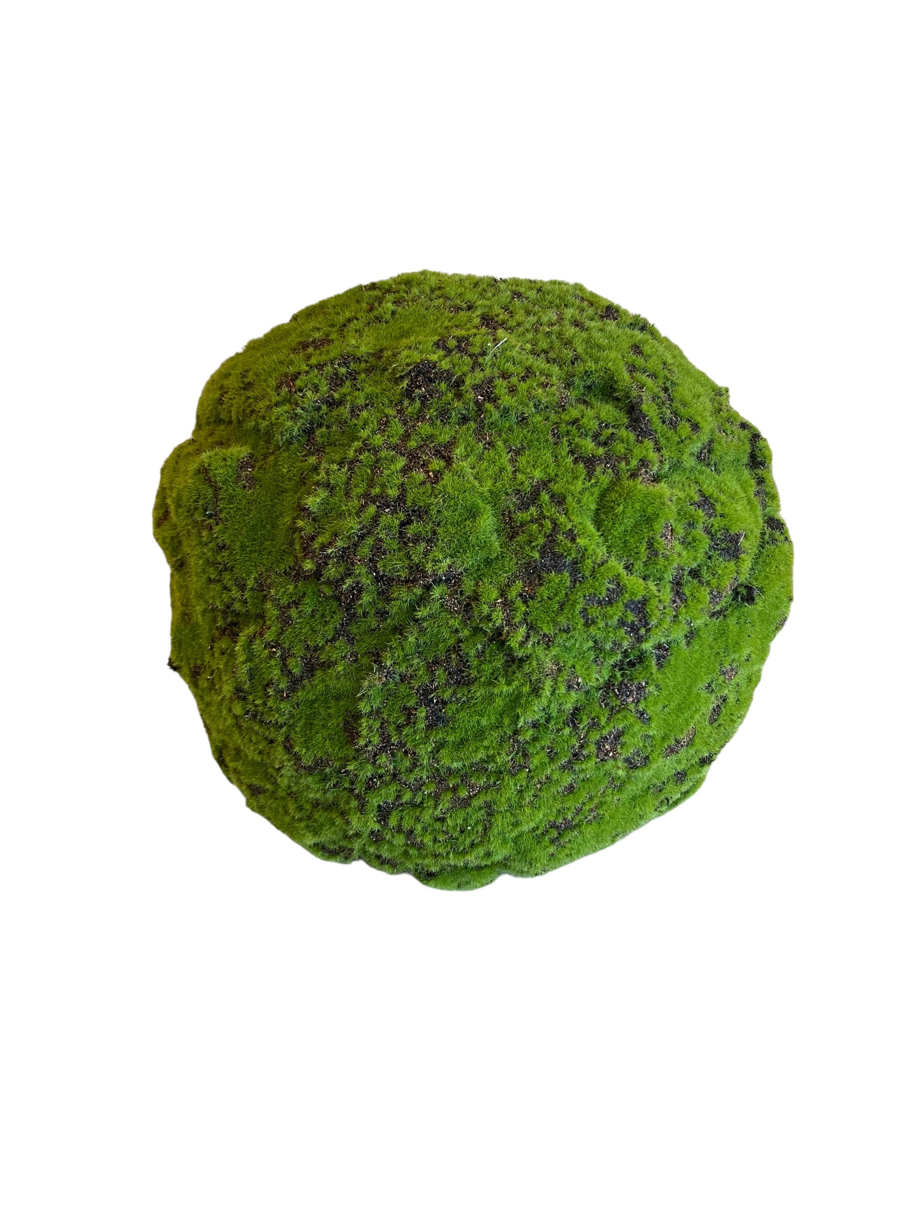 14" Moss Ball