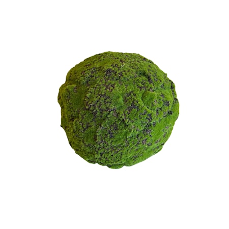 14" Moss Ball