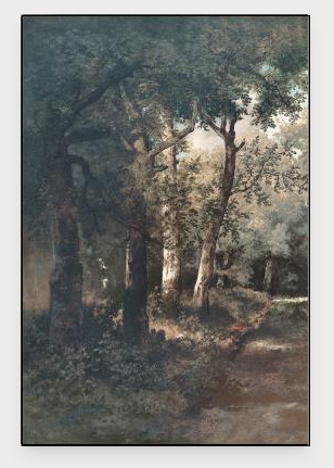 Collection Thumbnail