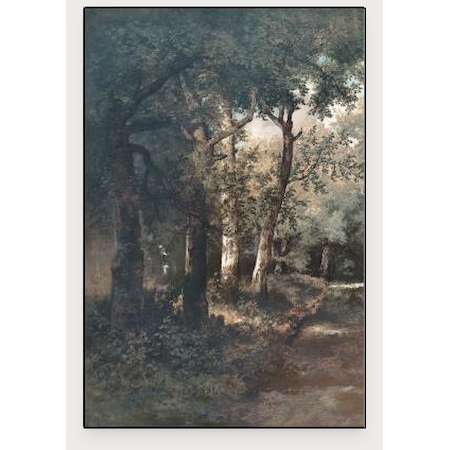 Through the Forest II