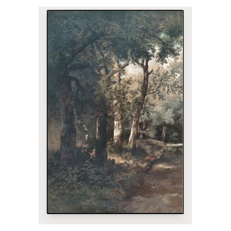 Through the Forest II