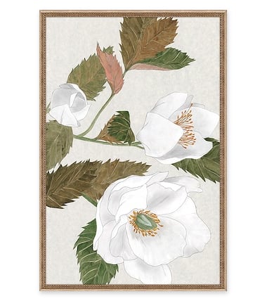 Secrets of the Blossoms V