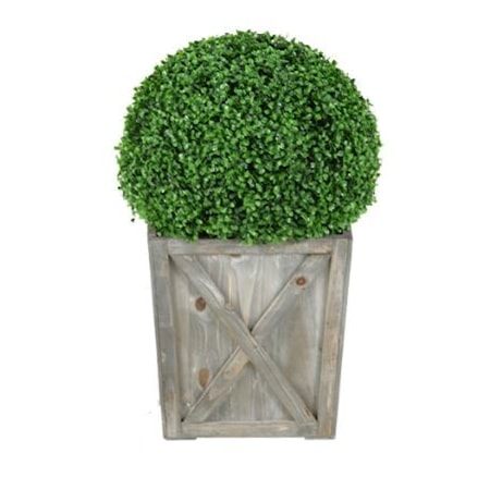 Boxwood Ball Planter