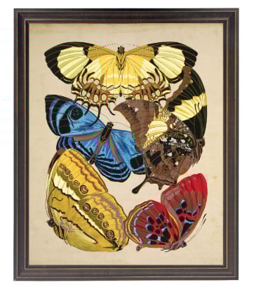 Vintage Bright Butterfly