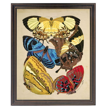 Vintage Bright Butterfly