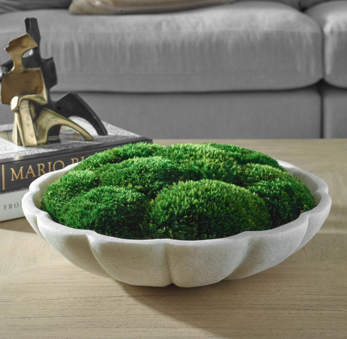 Awaken Moss Centerpiece