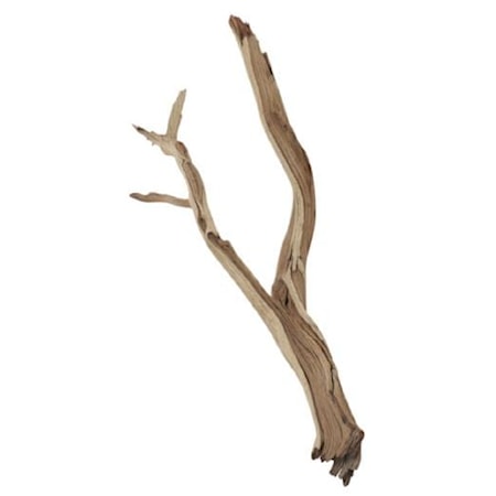 Small Ghostwood Branch