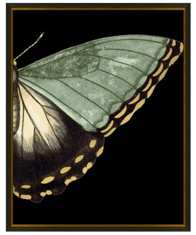 Gilded Wing 4