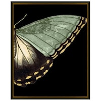 Gilded Wing 4
