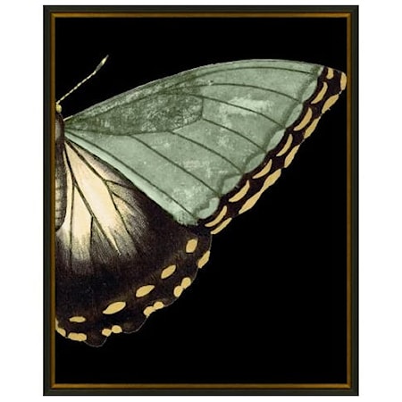 Gilded Wing 4