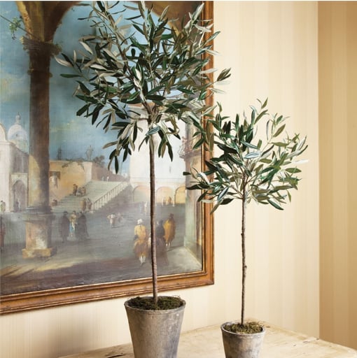 Napa Home & Garden Accessories 30" Potted Olive Tree
