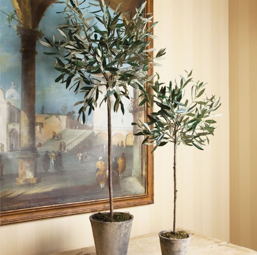 46" Potted Olive Tree