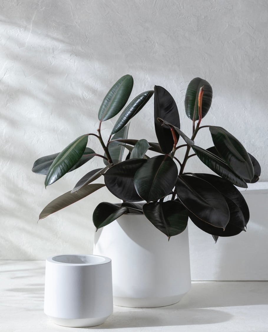 Seastone S/2 Planters