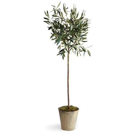 46" Potted Olive Tree