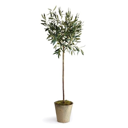 46" Potted Olive Tree