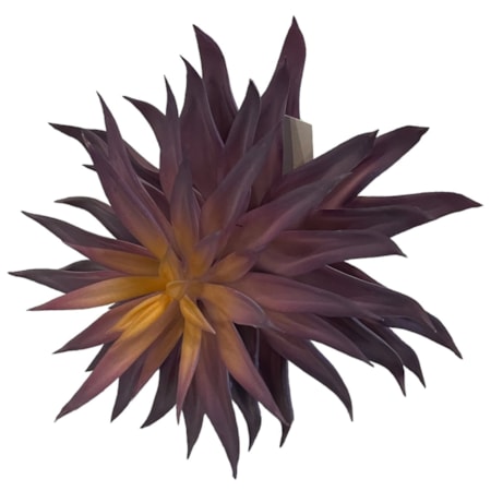 7" Purple Succulent
