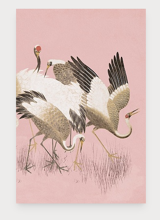 Curious Cranes Preen