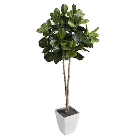 Fiddle Leaf Fig Tree in White Metal Planter