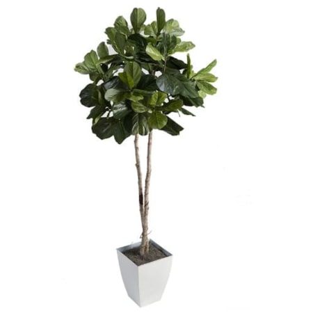 Fiddle Leaf Fig Tree in White Metal Planter