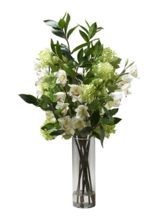 Cream Cymbidium Orchids
