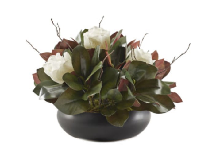 Magnolia Stems with Birch Tops