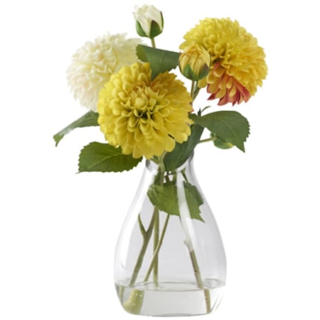 Cream and Yellow Dahlia in Glass Vase