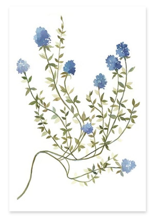 Colorful Dreamer VII