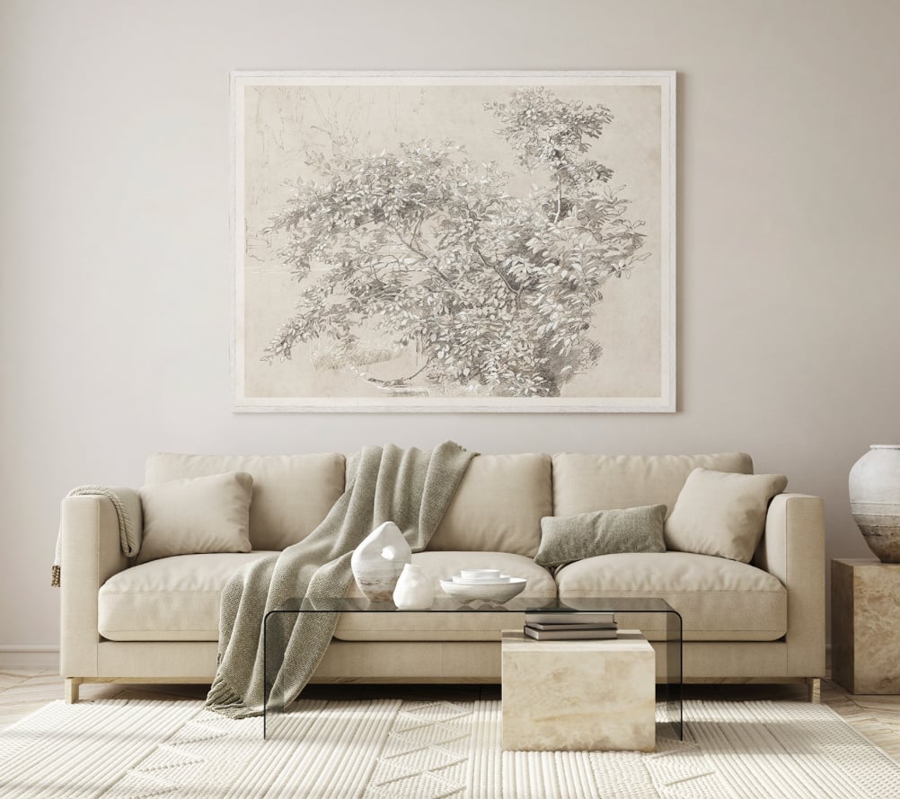 Graphite &amp; Gouache Study