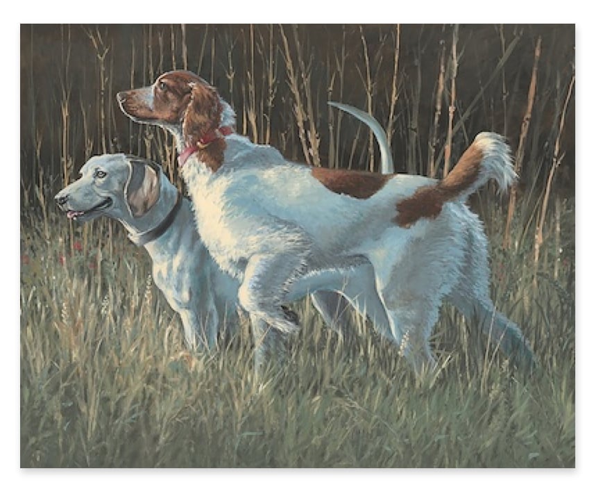 Les Chiens de Chasse II