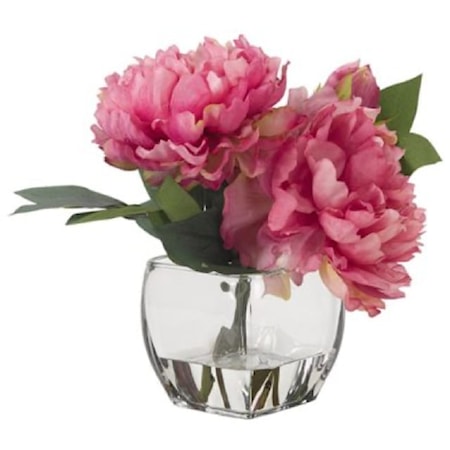 Pink Peonies in Glass Cube