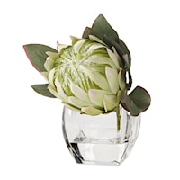 White Green Protea in Glass Cube