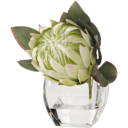 White Green Protea in Glass Cube