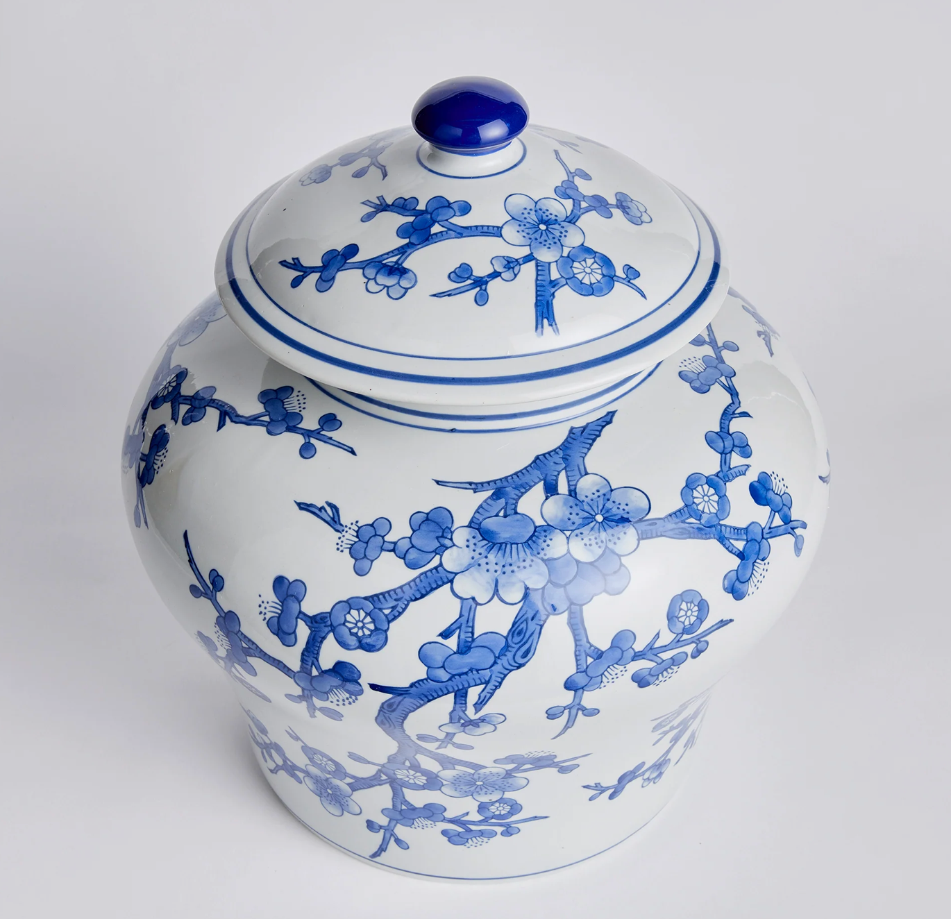 BB Dynasty Empress Jar Short