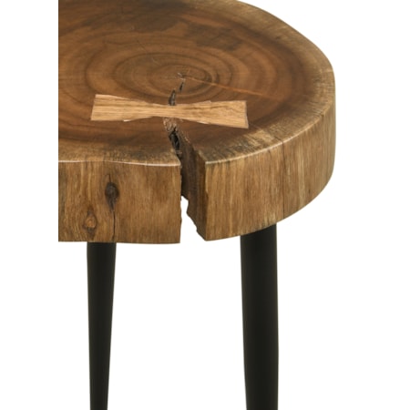 Keith Solid Tree Trunk Side Table and