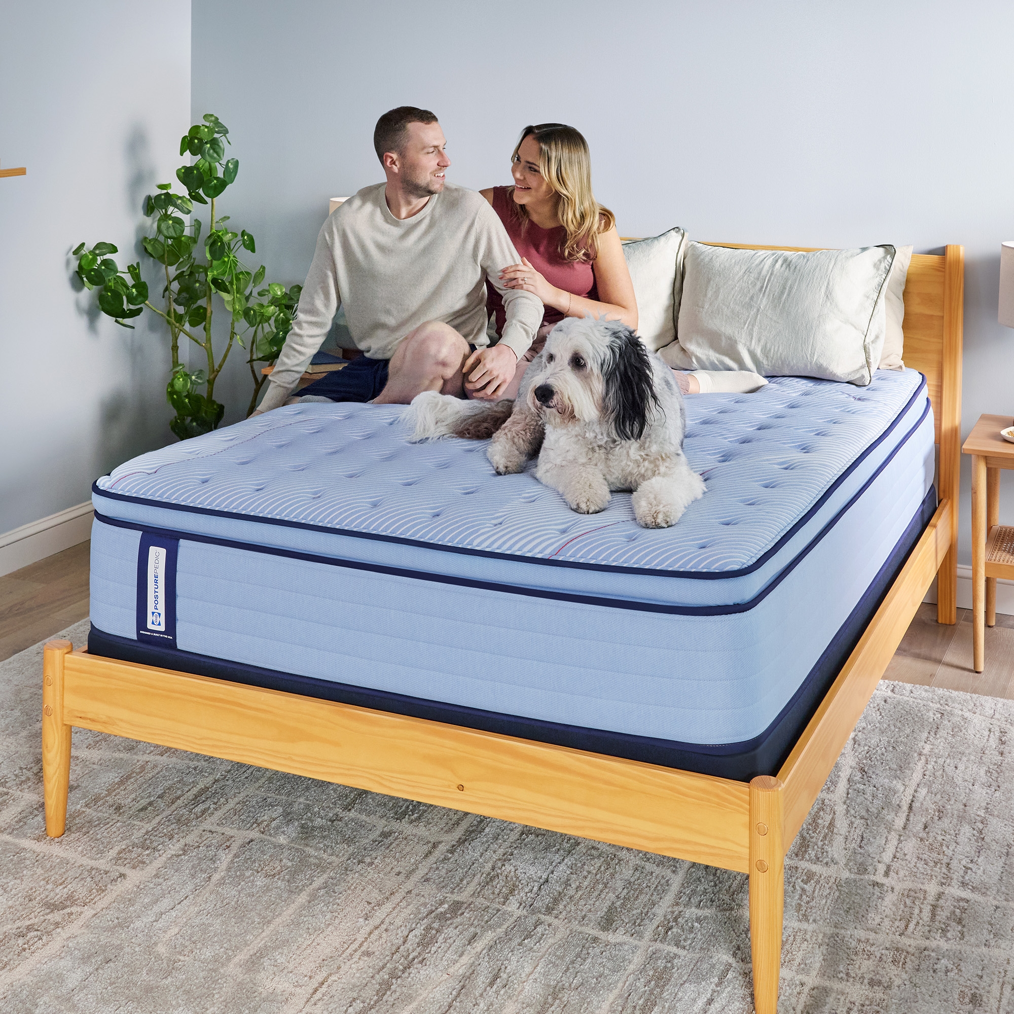 Sealy Posturepedic® Jace Euro Pillow Top Medium Jace Euro Pillow Top Medium Twin