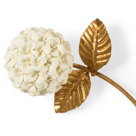 Hydrangea - Gold