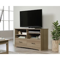 Transitional 2-Drawer TV Stand with Adjustable Shelves