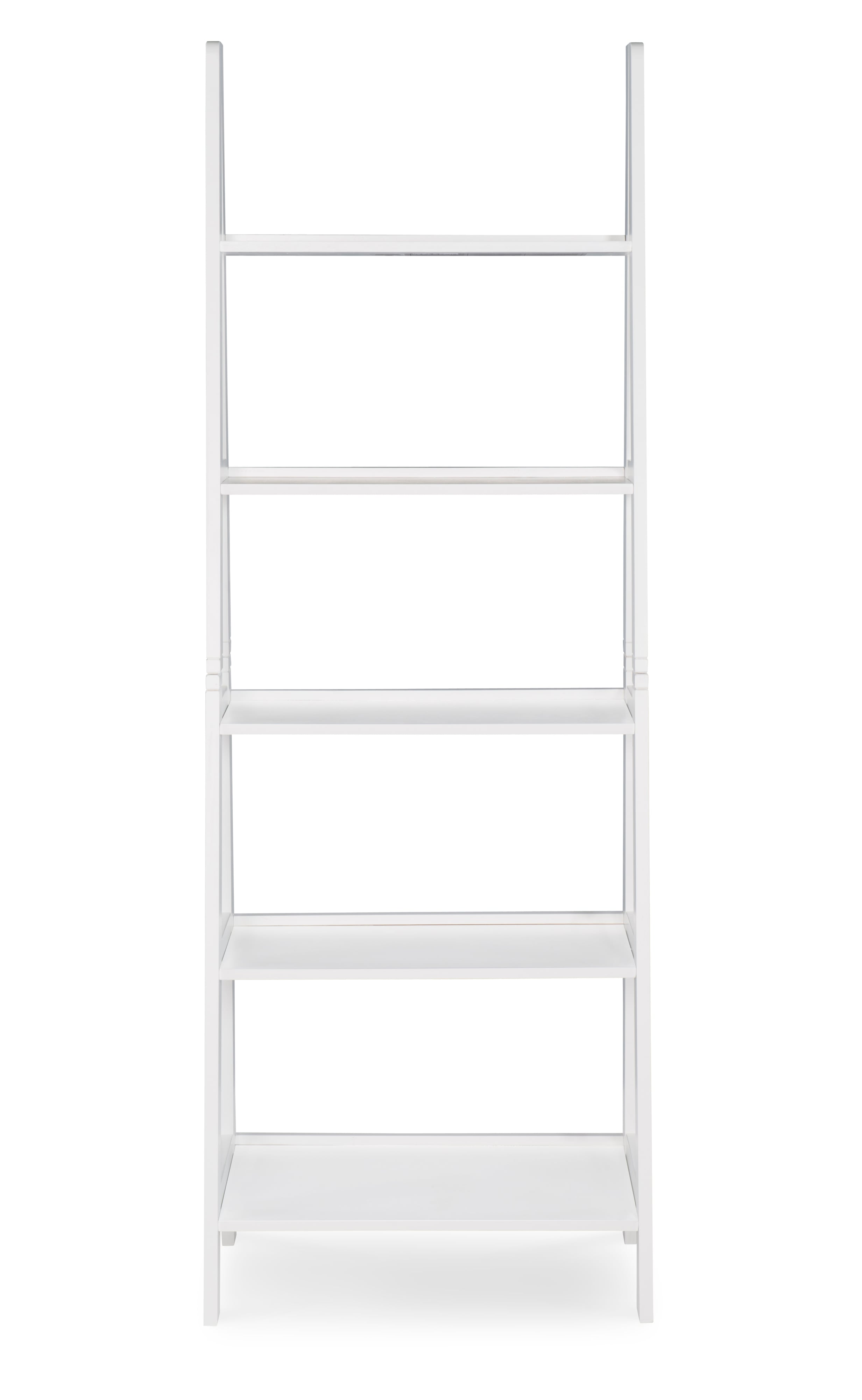 Ladder Bookshelf