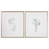 Uttermost Framed Prints Botanical Sketches (Set of 2)